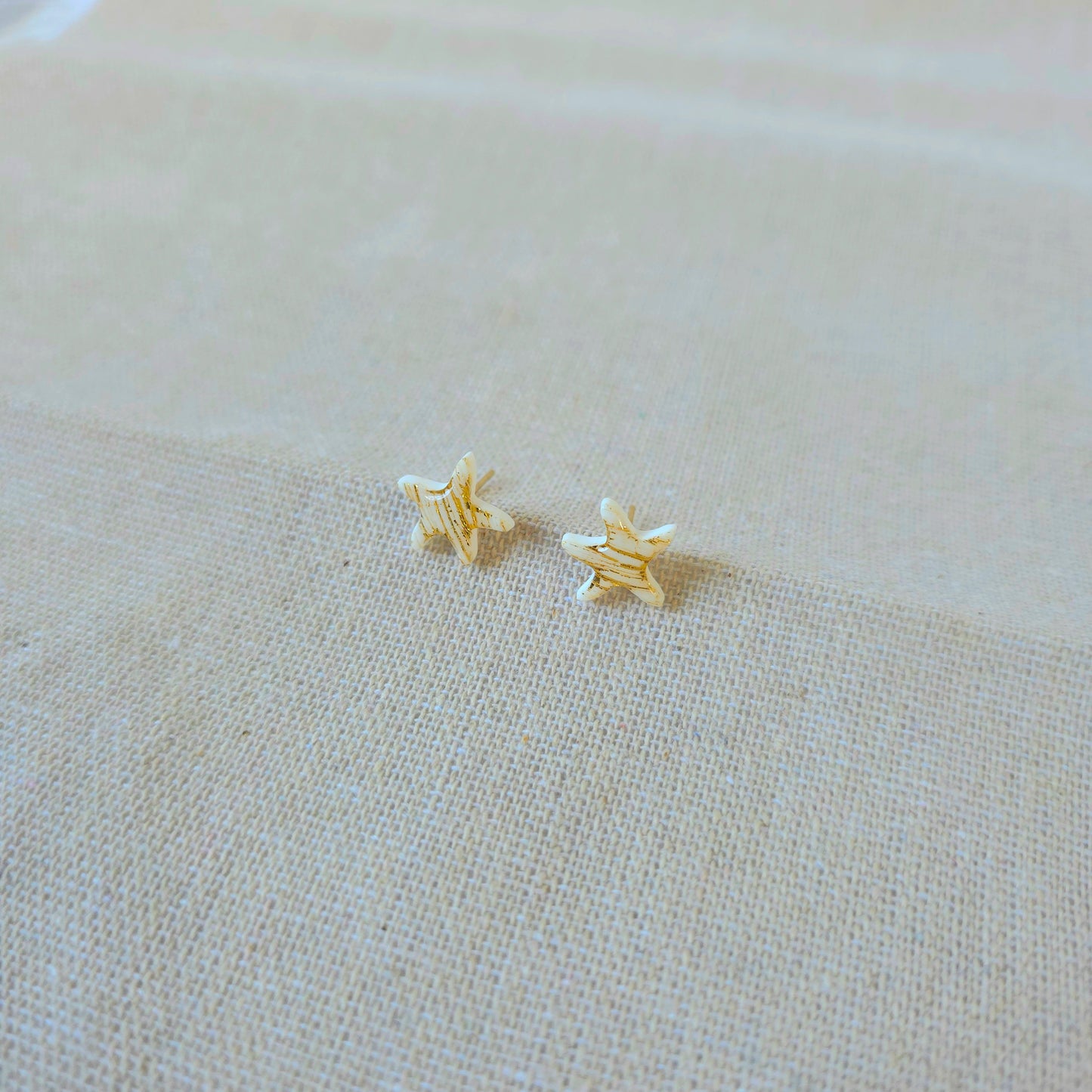 Earrings Rustic Sea Star