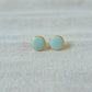 Earrings Sage Button