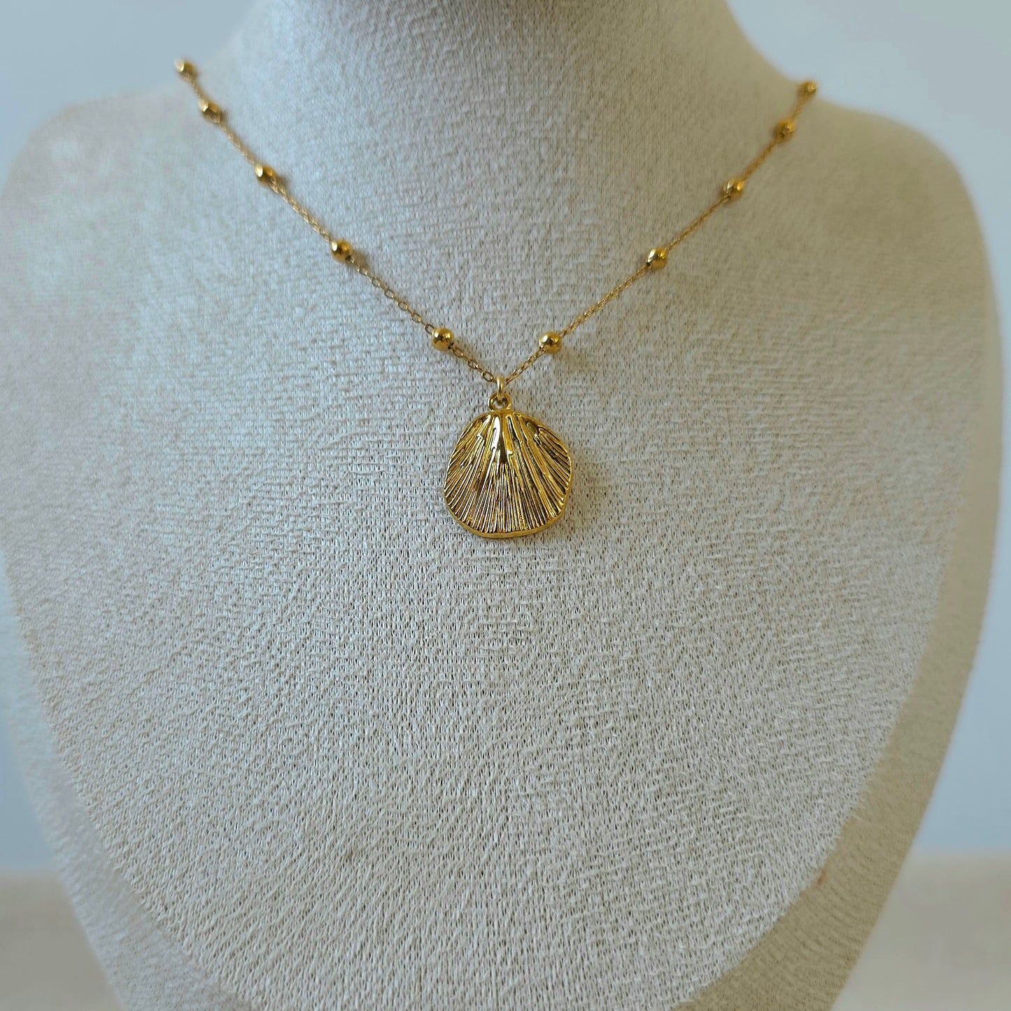 Necklace Isla Shell